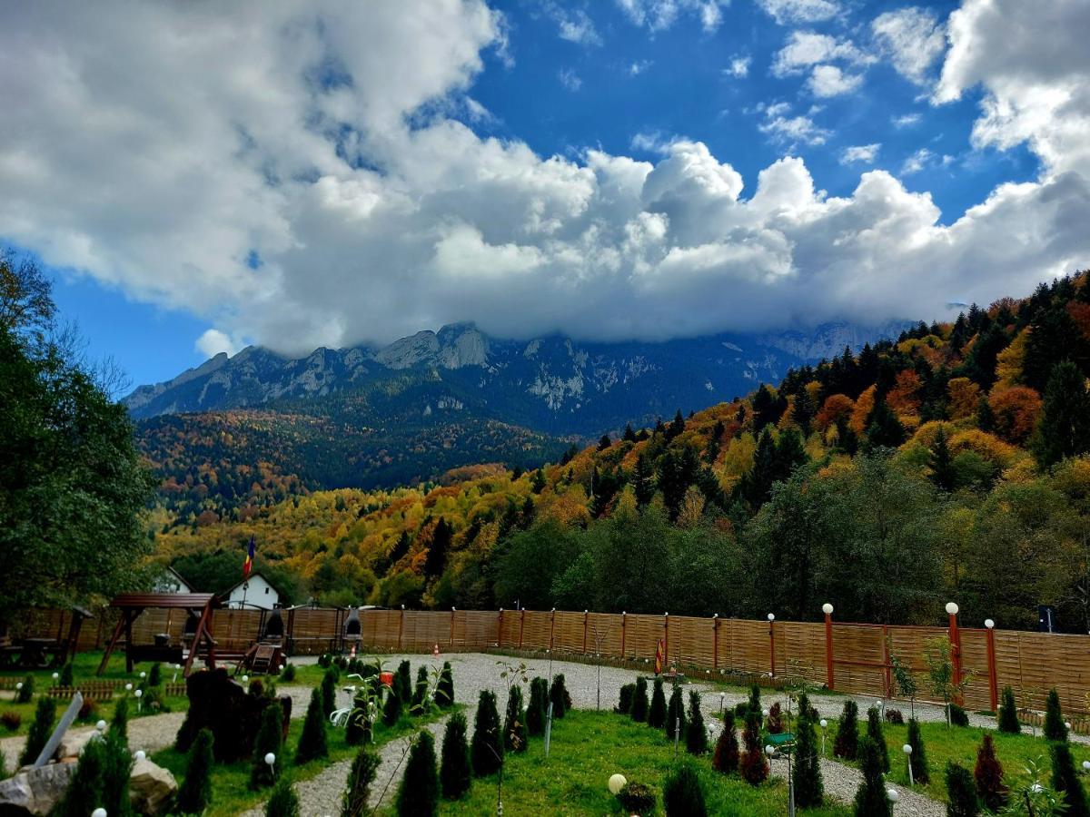 הוילה Zărneşti Aroa Mountain 4 מראה חיצוני תמונה